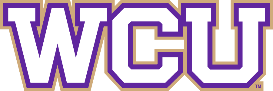 Western Carolina Catamounts 2008-2018 Wordmark Logo diy iron on heat transfer
